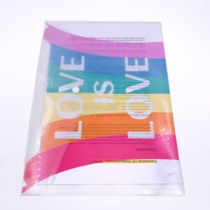 Pasta Envelope Transparente A4 Color