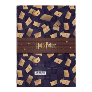 Conjunto Pasta Catálogo e Papel de Carta Harry Potter - DAC