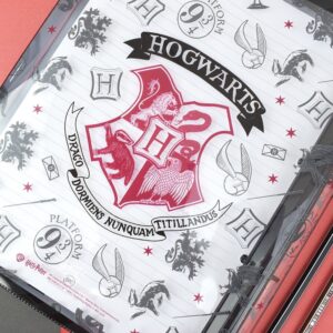 Fichário Universitário PVC Cristal 10 Divisórias Harry Potter 192 fls - DAC