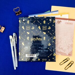 Porta Fichas Argolado Vertical Harry Potter DAC