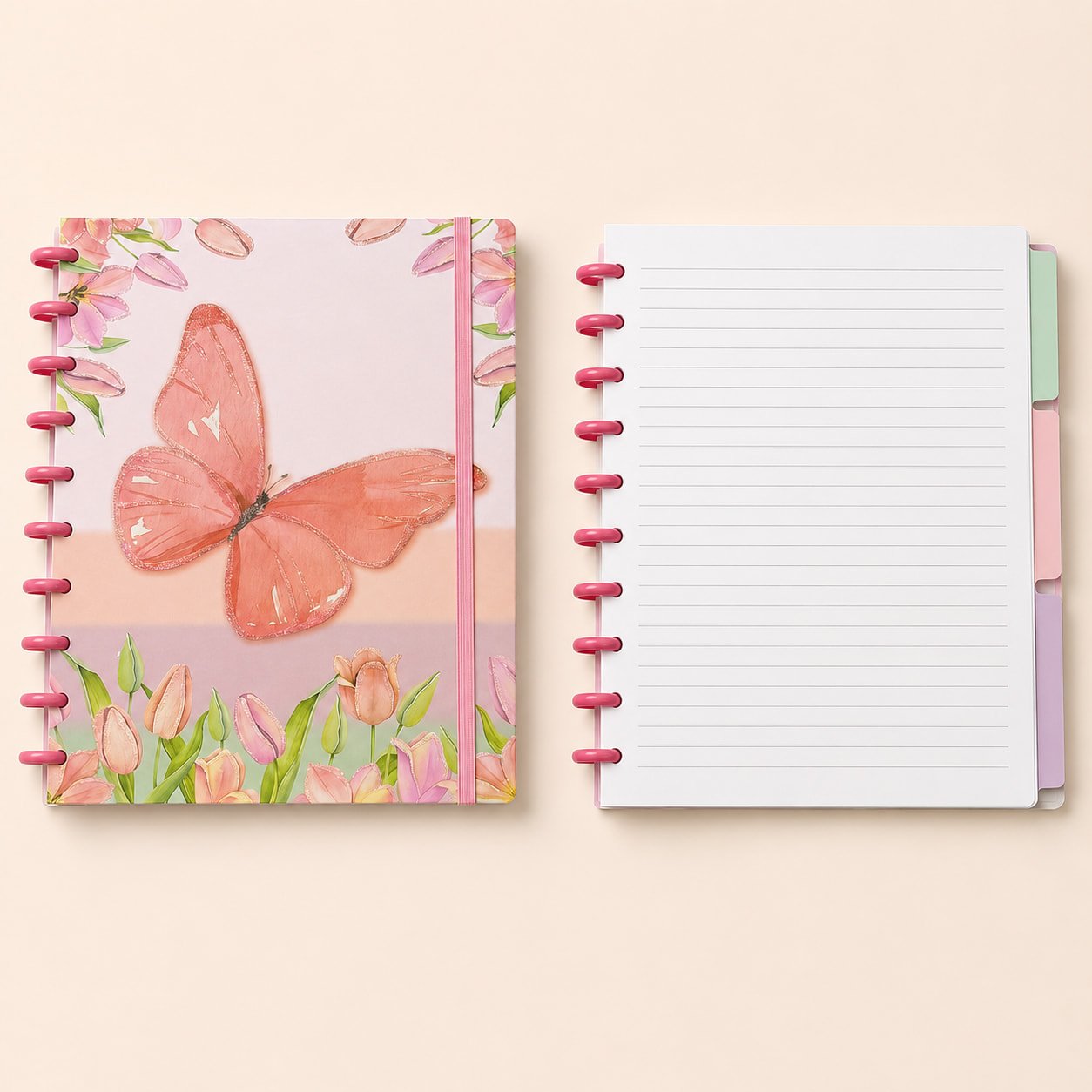 Caderno de Disco Borboletas 10 Discos 18,5x25,2cm 80 fls - IMPORTADO - UND