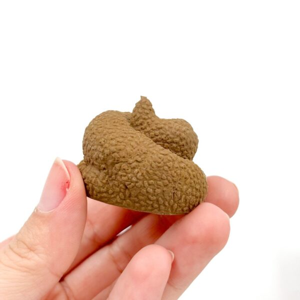 Borracha Fofa Cocô Poop
