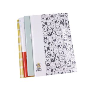 Caderno Grampeado Pautado 120X180mm Best Friend BRW - Pacote c/4 Und