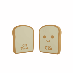 Borracha Toast pct 4 Und CIS - CX 12 PCT