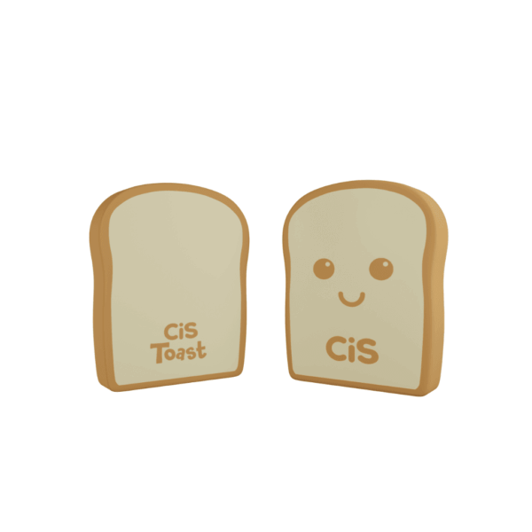 Borracha Toast pct 4 Und CIS - CX 12 PCT