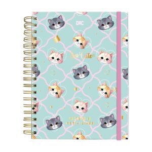 Caderno Smart Universitário 10 Divisórias 80 fls DAC - MODELOS