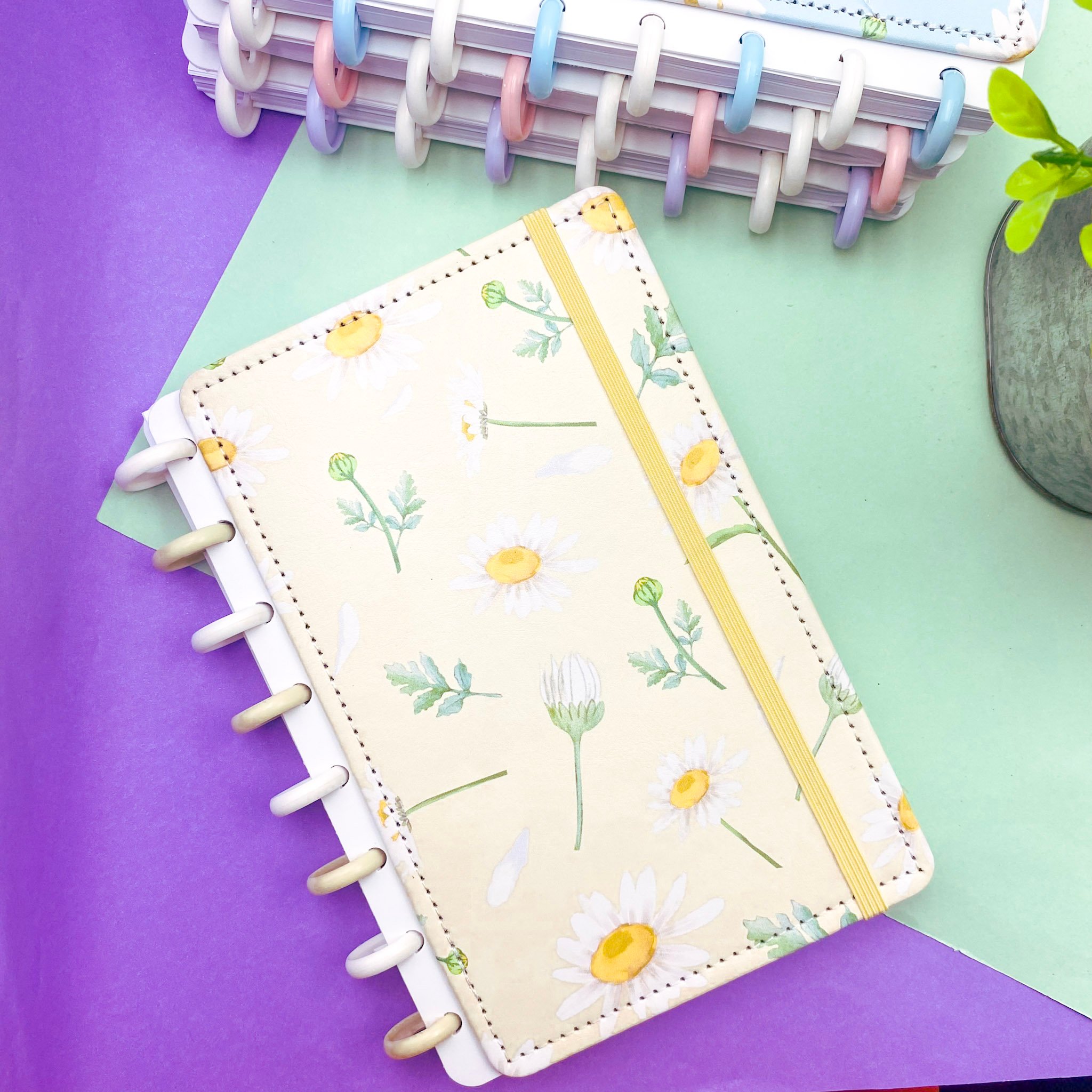 Caderno de Disco MARGARIDAS A5 80 Fls/8 discos -  15x21,2cm  - IMPORTADO - UND