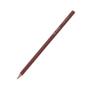 Lápis de Cor Criatic Pele 6 Cores CIS - BLISTER