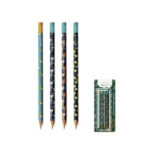 Kit 4 Lápis Grafite HB c/ Borracha Dino - SKYPAPER - BLISTER