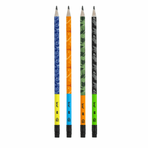 Lápis HB Estampado c/ Borracha Raptors BRW - Pote 72 UND