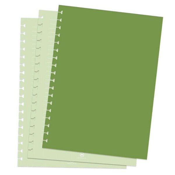 Refil Caderno Smart Colegial Verde 48 Folhas DAC