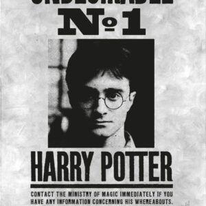 Lata Colecionável LUXO Harry Potter - DAC