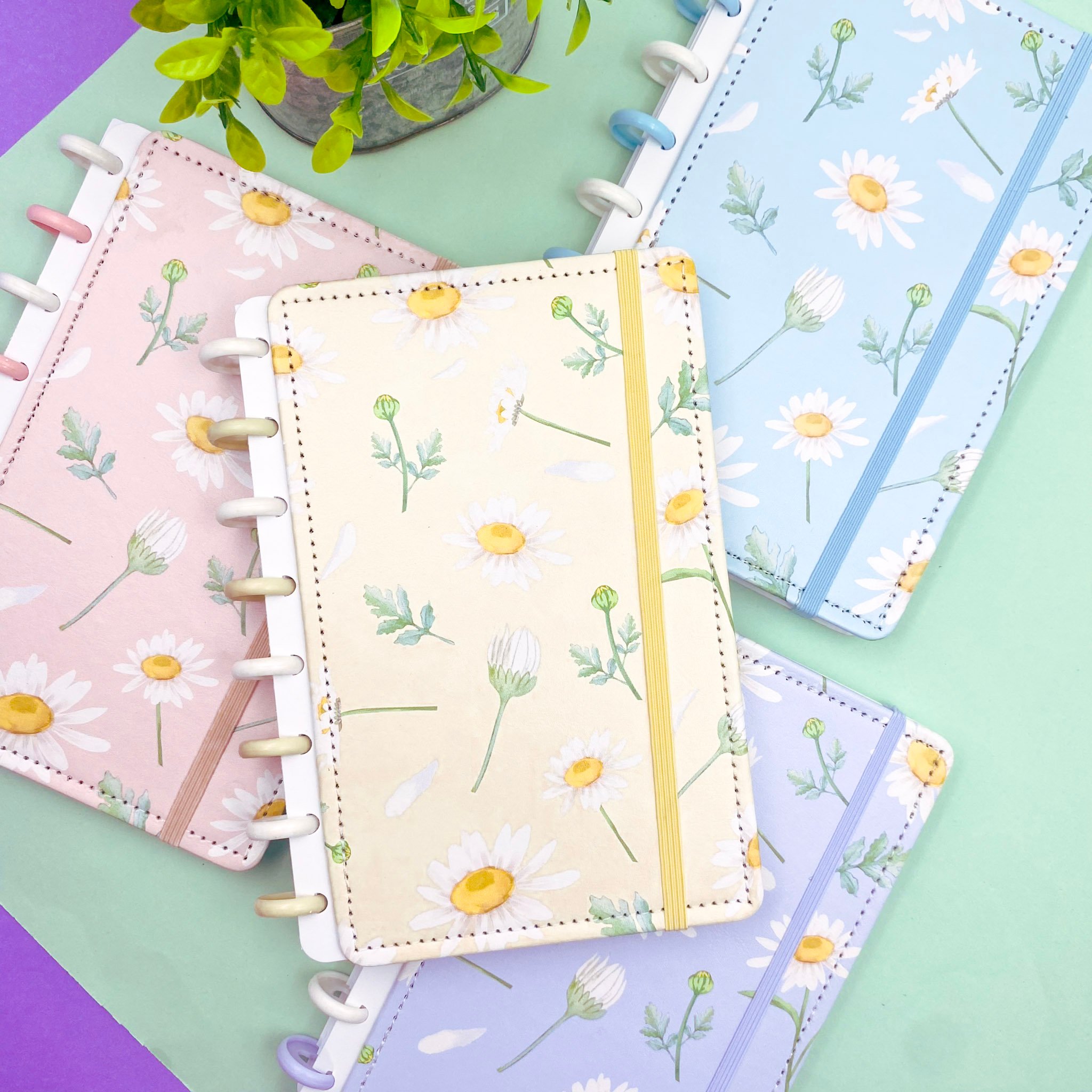 Caderno de Disco MARGARIDAS A5 80 Fls/8 discos -  15x21,2cm  - IMPORTADO - UND