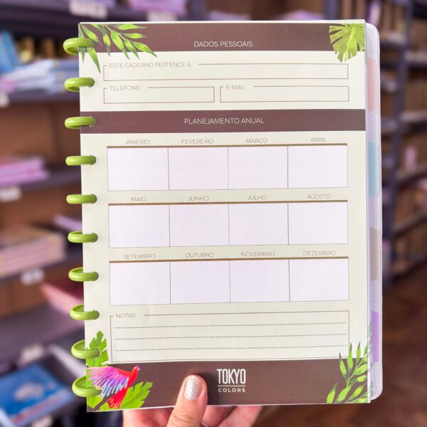 Caderno de Disco BRASILIDADES  20x26cm 10 Discos 80 Flhs- TOKYO DESIGN - UND