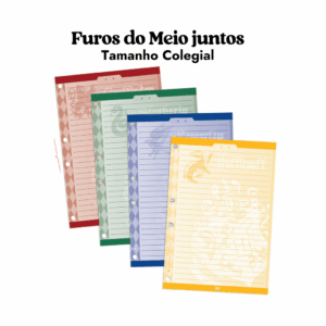 Refil Folhas Colorido Fichário Colegial Harry Potter DAC - Furos do meio juntos