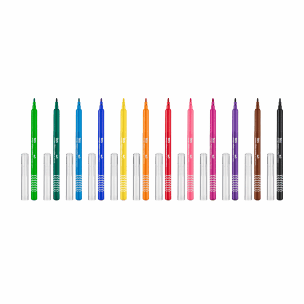 Hidrocor Canetinha Ponta Fina Mega Hidro Color 12 Cores - TRIS - BLISTER