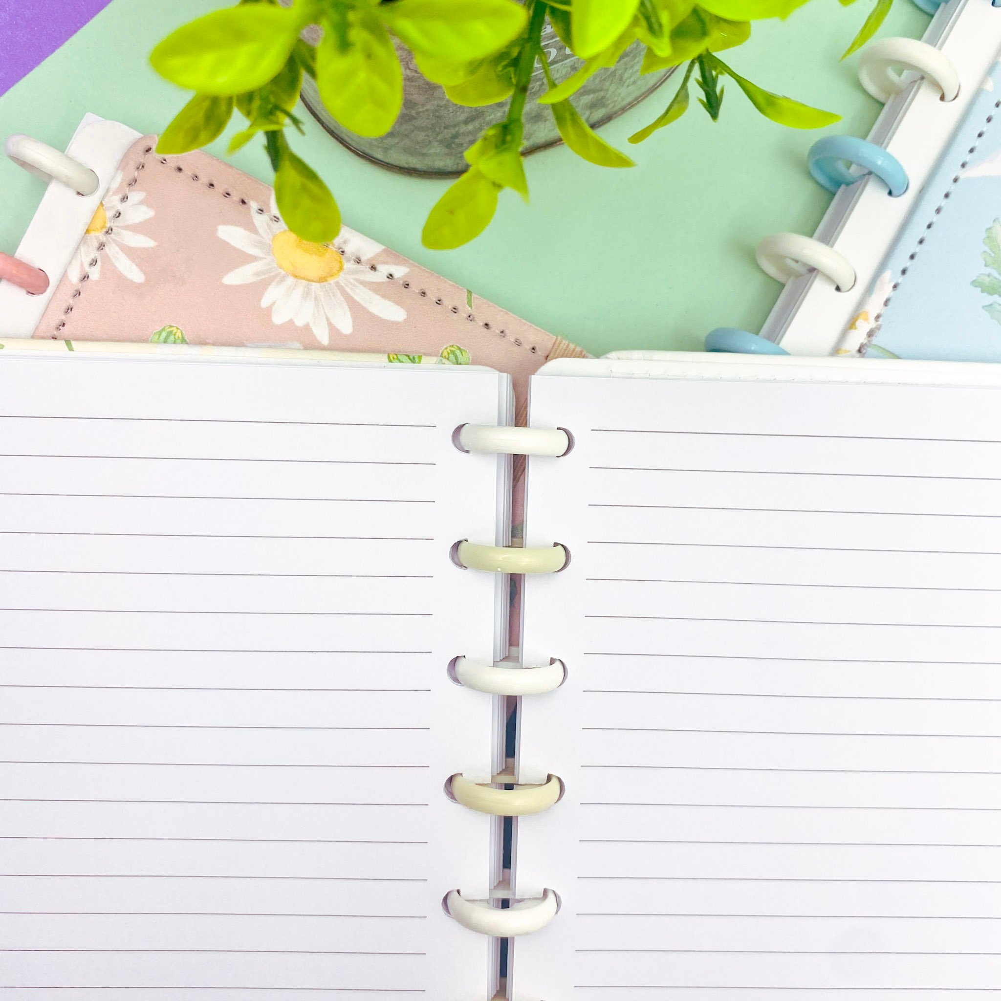 Caderno de Disco MARGARIDAS A5 80 Fls/8 discos -  15x21,2cm  - IMPORTADO - UND