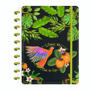 Caderno de Disco BRASILIDADES  20x26cm 10 Discos 80 Flhs- TOKYO DESIGN - UND