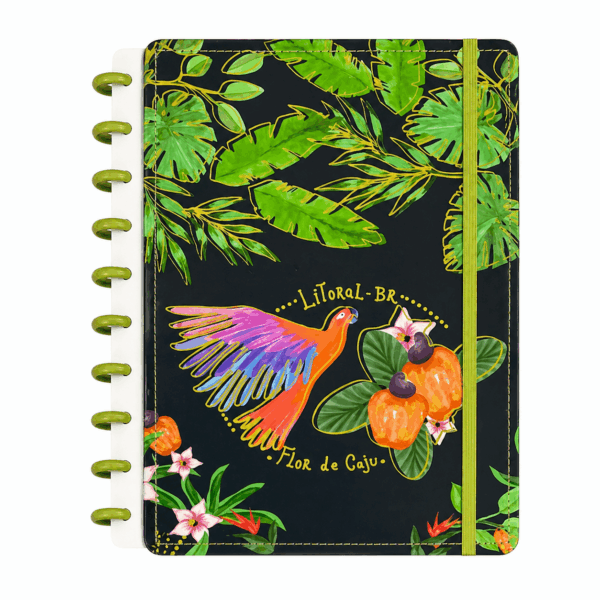 Caderno de Disco BRASILIDADES  20x26cm 10 Discos 80 Flhs- TOKYO DESIGN - UND