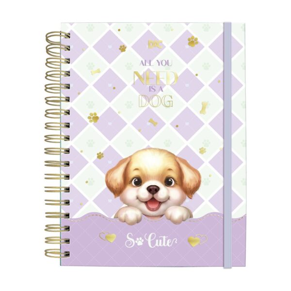 Caderno Smart Colegial 10 Divisórias 80 fls DAC - MODELOS