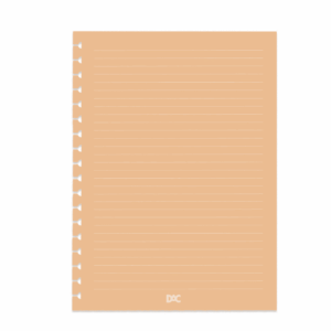 Caderno Smart Universitário 10 Matérias Ursinho Pooh DAC