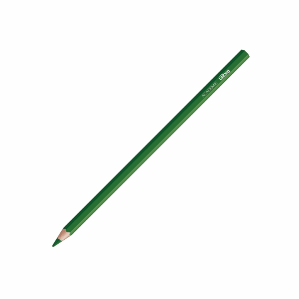 Lápis de Cor Sextavado Académie 12 Cores Tilibra