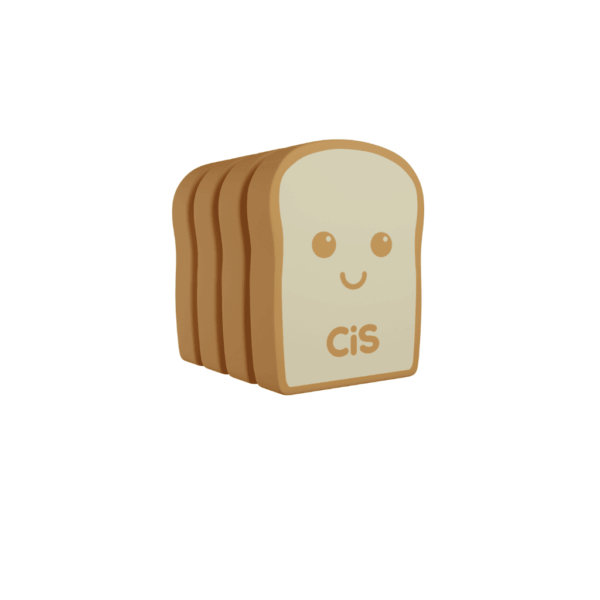 Borracha Toast pct 4 Und CIS - UND