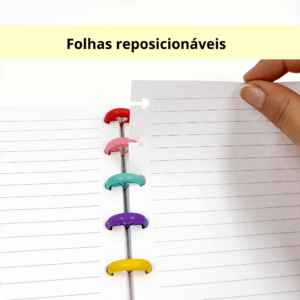 Caderno de Disco Capivara 26x20cm G - 10 Discos - UND