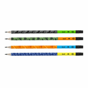 Lápis HB Estampado c/ Borracha Raptors BRW - Pacote 12 Und