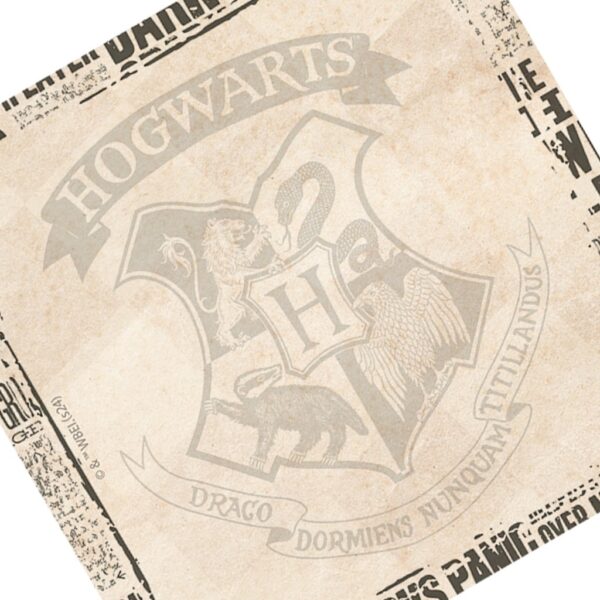 Mini Fichário com Botões Harry Potter DAC