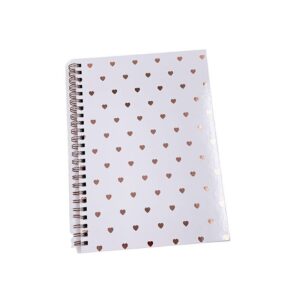 Caderno Capa Dura Pautado 150X210mm S2 BRW
