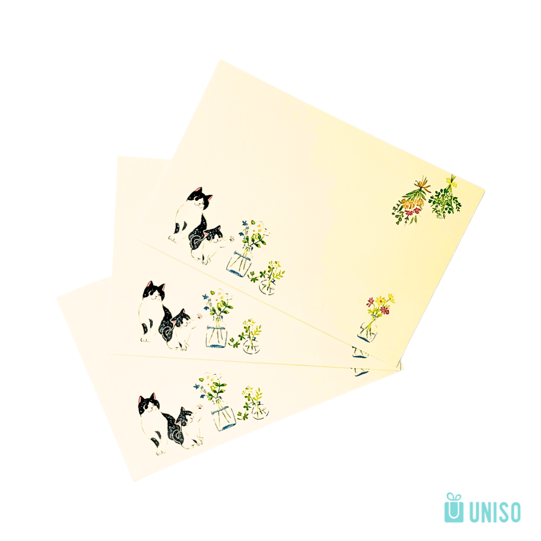 Kit 6 Papéis de Carta + 3 Envelopes Gato - UNISO - UND