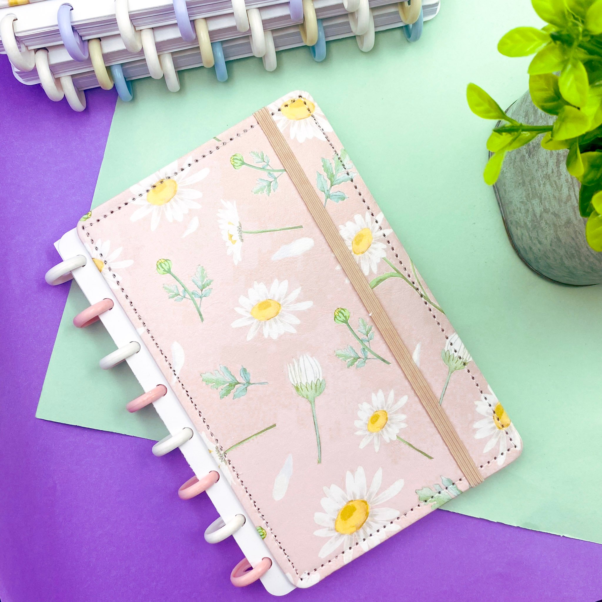 Caderno de Disco MARGARIDAS A5 80 Fls/8 discos -  15x21,2cm  - IMPORTADO - UND