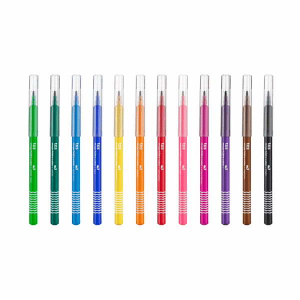 Hidrocor Canetinha Ponta Fina Mega Hidro Color 12 Cores - TRIS - BLISTER