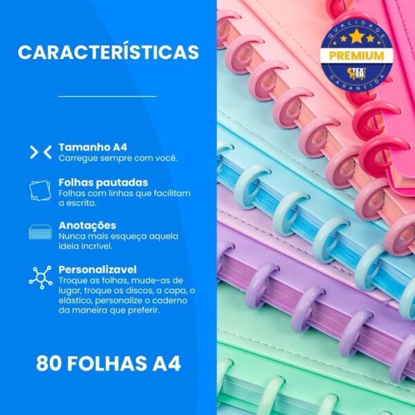 Caderno de Disco 30x21cm Liso Color GG - 11 Discos