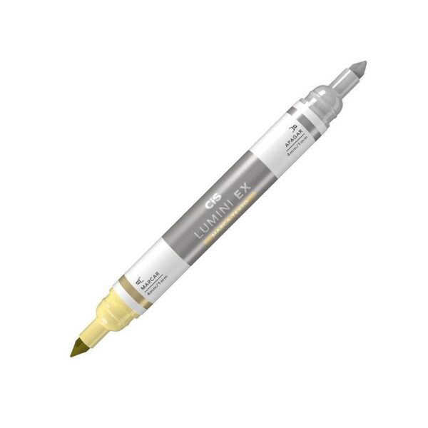 Marca Texto Apagável Lumini EX CIS - UND